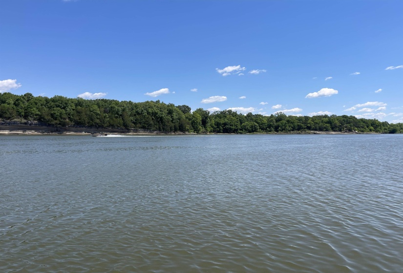 763 BF TERRY CIR, Savannah, Tennessee 38372, ,Land,For Sale,BF TERRY,10220820