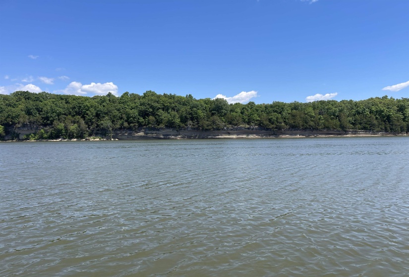 763 BF TERRY CIR, Savannah, Tennessee 38372, ,Land,For Sale,BF TERRY,10220820