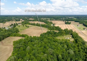 8135 MUDVILLE RD, Millington, Tennessee 38053, ,Land,For Sale,MUDVILLE,10220837