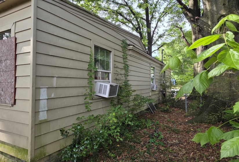 Exterior featuring light-colored horizontal siding, multiple windows, and dense surrounding foliage