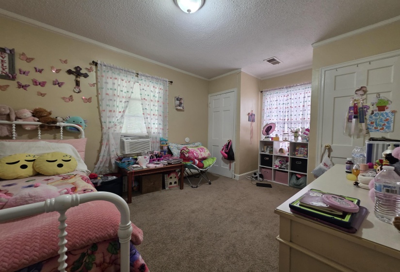 Carpeted room with crown molding, two panel doors, and a window with blinds