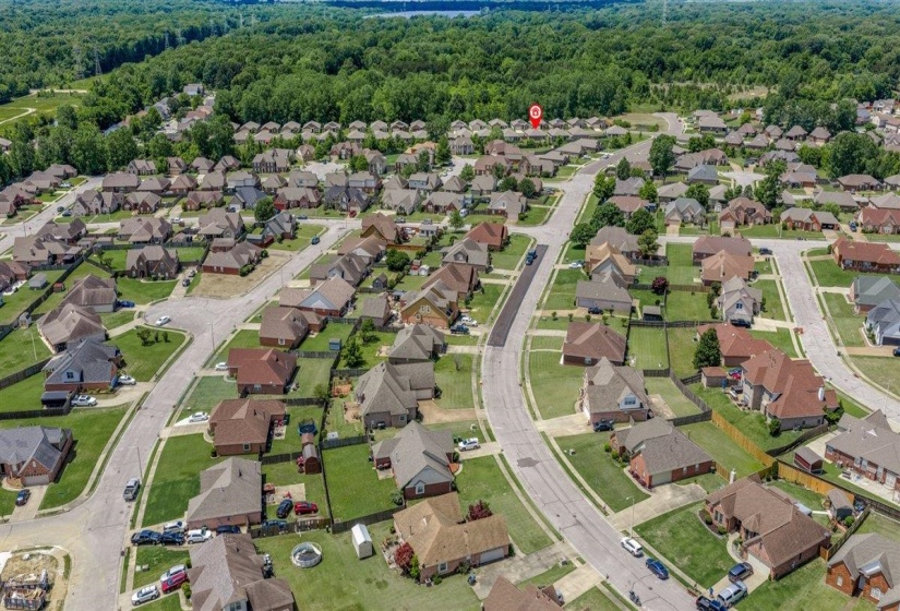 Established residential neighborhood featuring a variety of single-story homes with individual lawns and paved streets