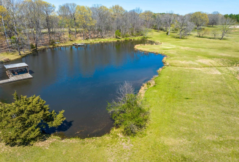 Drone / aerial view with a water view and a view of trees