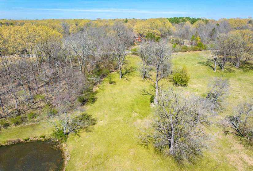 Drone / aerial view featuring a view of trees