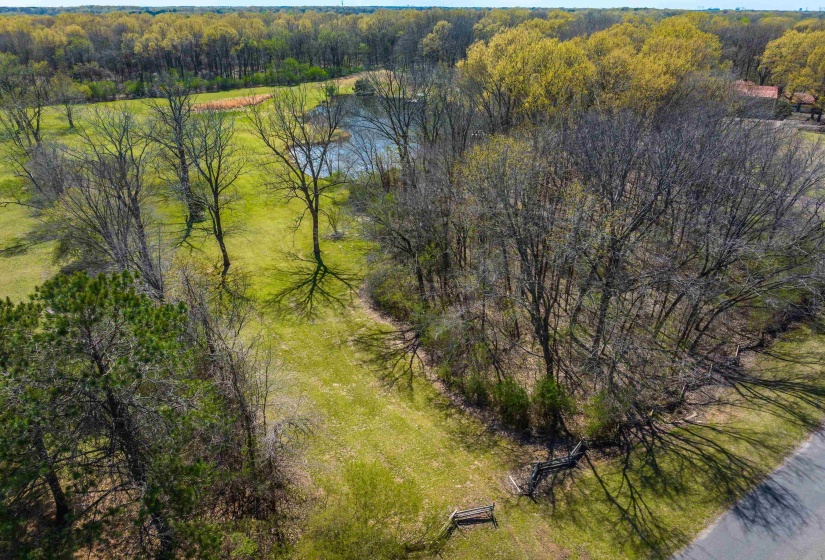 Aerial view featuring a view of trees