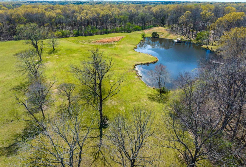 Drone / aerial view with a water view and a forest view