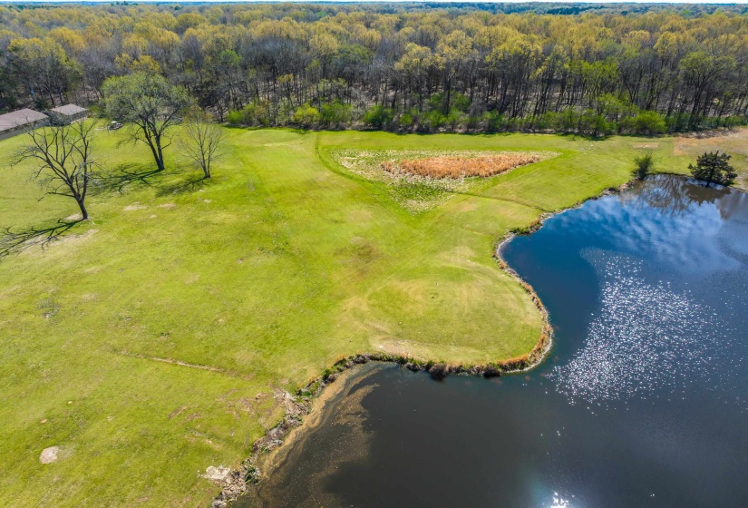 Birds eye view of property with a water view and a forest view