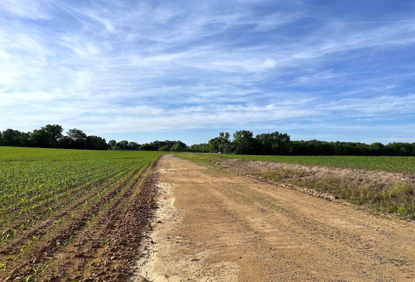 11385 18 HWY, Bolivar, Tennessee 38008, ,Land,For Sale,18,10220844