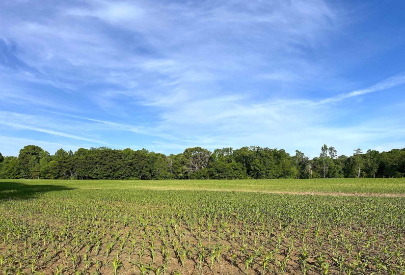 11385 18 HWY, Bolivar, Tennessee 38008, ,Land,For Sale,18,10220844