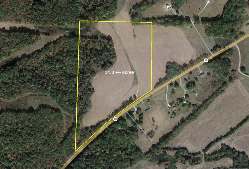 11385 18 HWY, Bolivar, Tennessee 38008, ,Land,For Sale,18,10220844