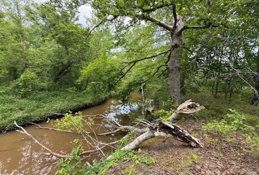 0 OLD HWY 72 HWY, Ashland, Mississippi 38603, ,Land,For Sale,OLD HWY 72,10220847