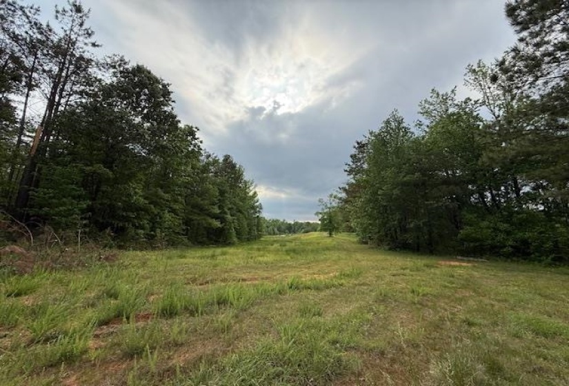 0 OLD HWY 72 HWY, Ashland, Mississippi 38603, ,Land,For Sale,OLD HWY 72,10220847