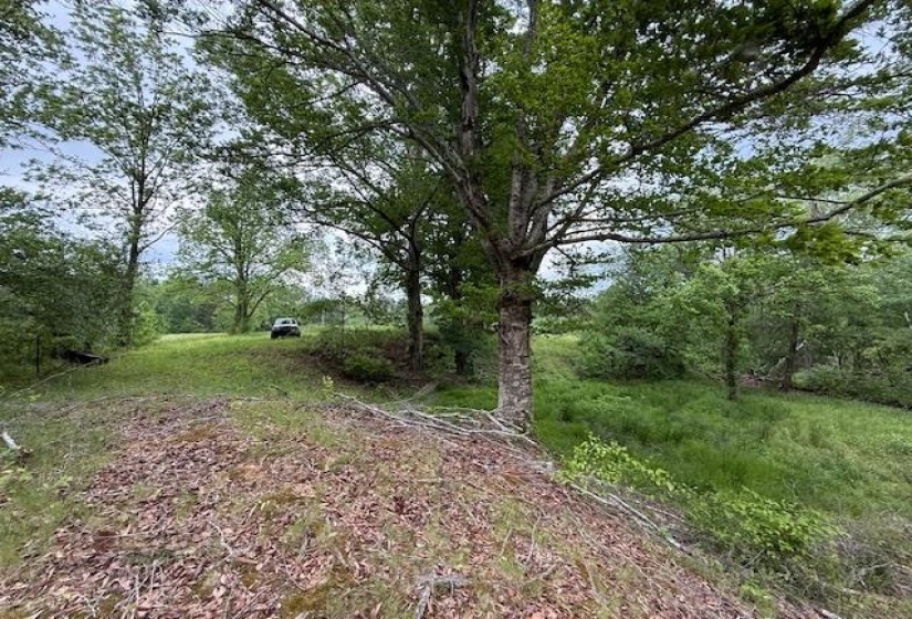 0 OLD HWY 72 HWY, Ashland, Mississippi 38603, ,Land,For Sale,OLD HWY 72,10220847