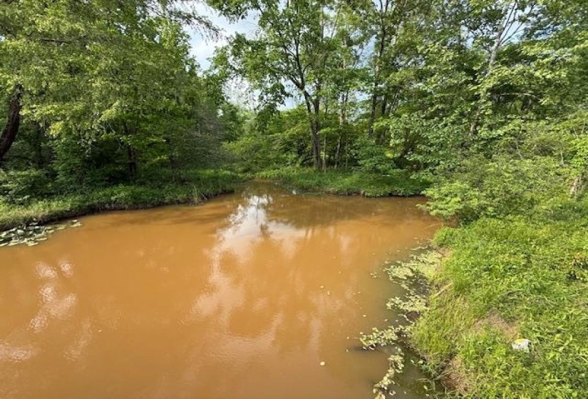 0 OLD HWY 72 HWY, Ashland, Mississippi 38603, ,Land,For Sale,OLD HWY 72,10220847