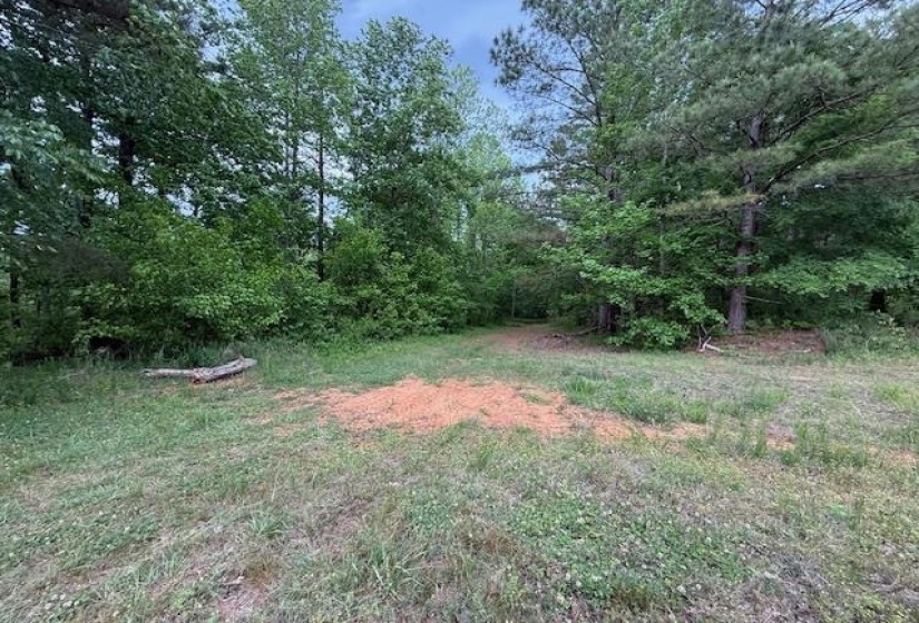 0 OLD HWY 72 HWY, Ashland, Mississippi 38603, ,Land,For Sale,OLD HWY 72,10220847