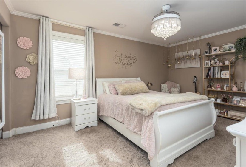 Plush carpeting throughout with crown molding and baseboards
