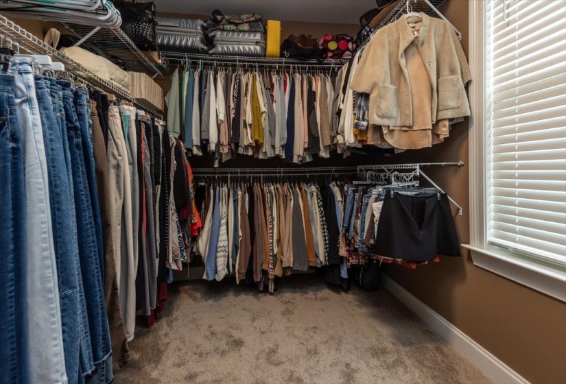 Custom wire shelving system, neutral carpeting, window with blinds, and painted walls