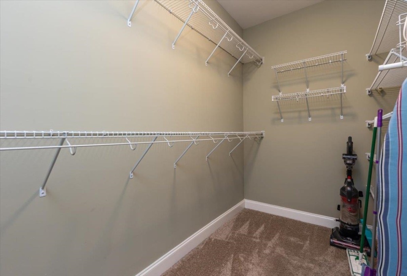 Walk-in closet featuring extensive wire shelving, multiple hanging rods, and neutral carpet flooring