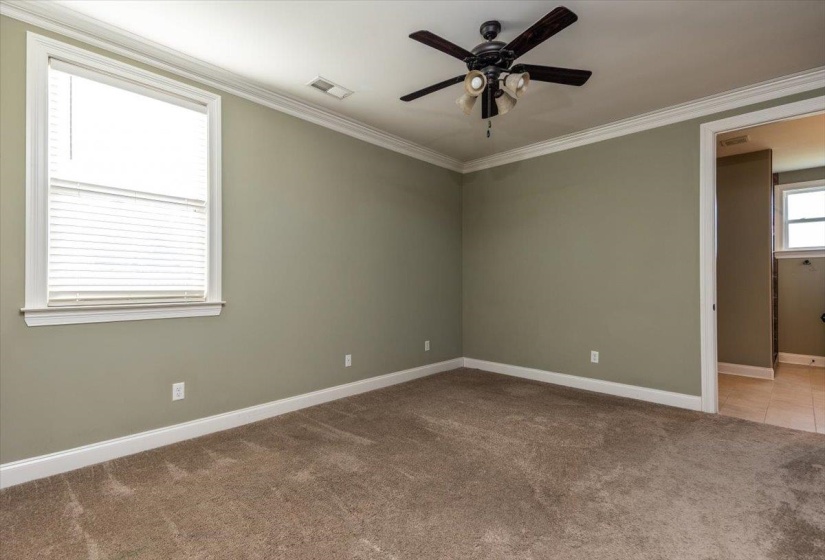 Carpeted room featuring a ceiling fan with light fixture, window with blinds, crown molding, and baseboards
