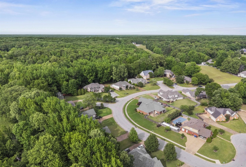 9302 CANABRIDGE DR, Lakeland, Tennessee 38002, 5 Bedrooms Bedrooms, 8 Rooms Rooms,3.1 BathroomsBathrooms,Residential,For Sale,CANABRIDGE,10220861