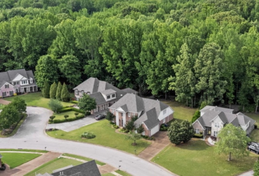 9302 CANABRIDGE DR, Lakeland, Tennessee 38002, 5 Bedrooms Bedrooms, 8 Rooms Rooms,3.1 BathroomsBathrooms,Residential,For Sale,CANABRIDGE,10220861