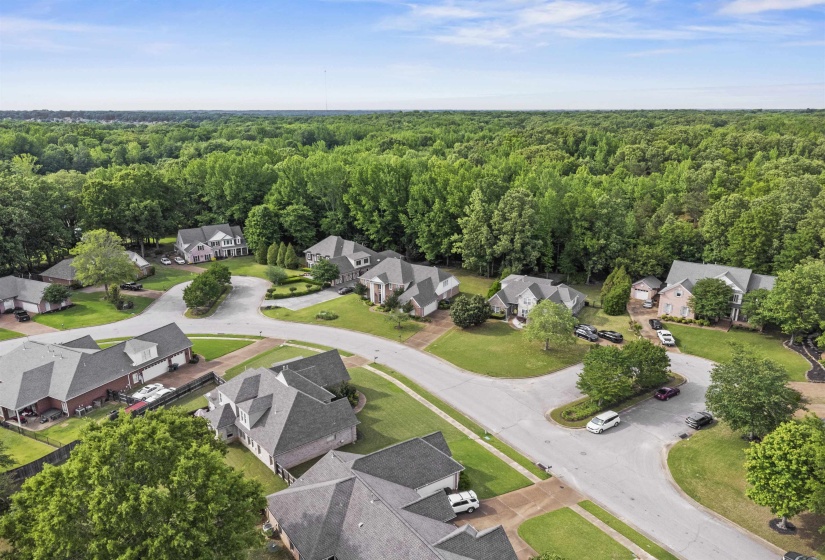 9302 CANABRIDGE DR, Lakeland, Tennessee 38002, 5 Bedrooms Bedrooms, 8 Rooms Rooms,3.1 BathroomsBathrooms,Residential,For Sale,CANABRIDGE,10220861