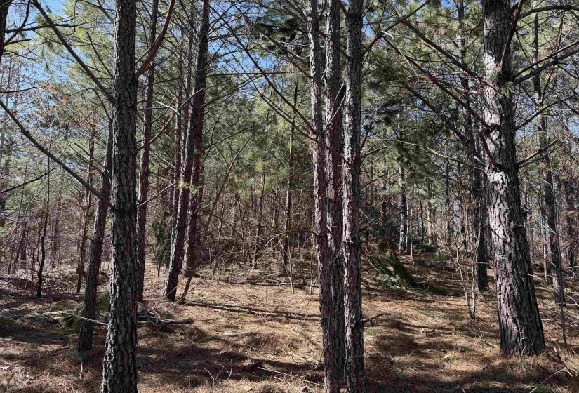 6 PYBURN DR, Savannah, Tennessee 38372, ,Land,For Sale,PYBURN,10220873