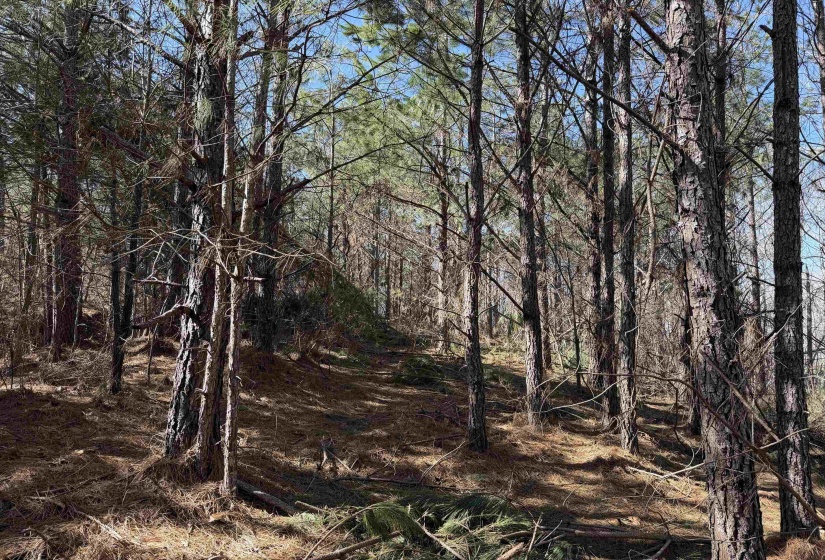 6 PYBURN DR, Savannah, Tennessee 38372, ,Land,For Sale,PYBURN,10220873