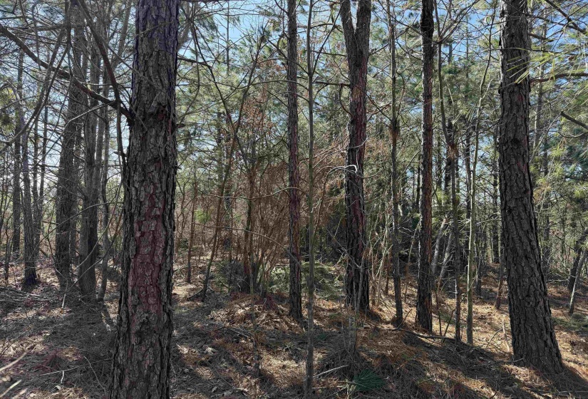6 PYBURN DR, Savannah, Tennessee 38372, ,Land,For Sale,PYBURN,10220873