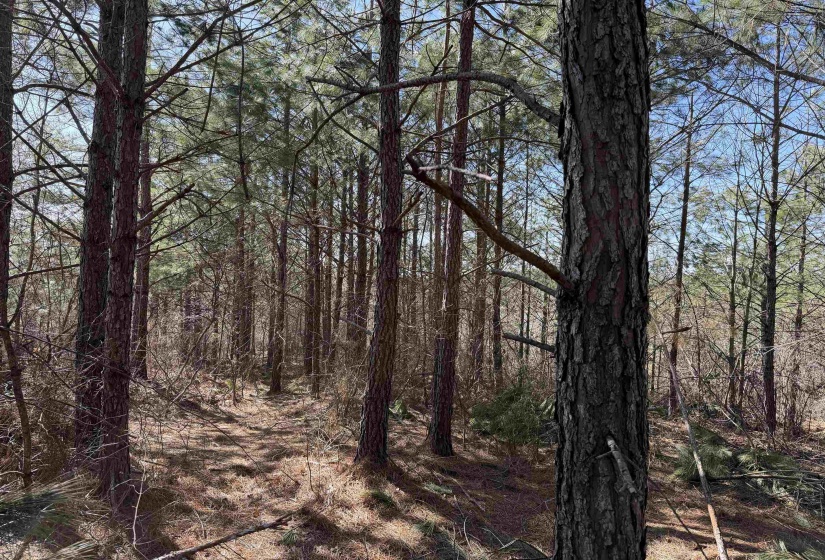 6 PYBURN DR, Savannah, Tennessee 38372, ,Land,For Sale,PYBURN,10220873