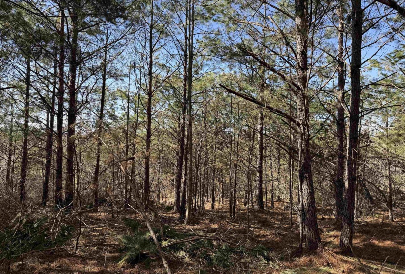 6 PYBURN DR, Savannah, Tennessee 38372, ,Land,For Sale,PYBURN,10220873