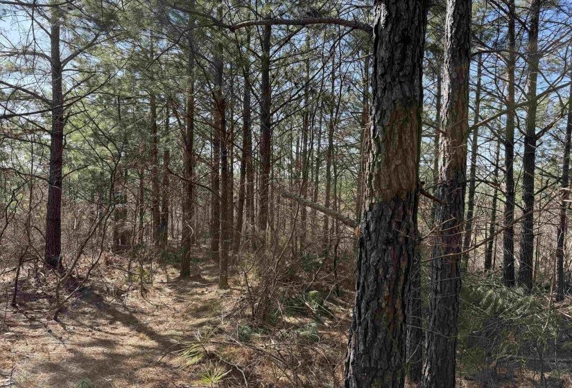 6 PYBURN DR, Savannah, Tennessee 38372, ,Land,For Sale,PYBURN,10220873