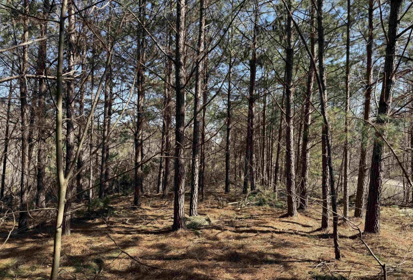 6 PYBURN DR, Savannah, Tennessee 38372, ,Land,For Sale,PYBURN,10220873