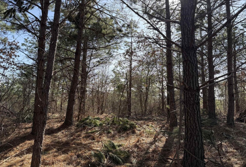 6 PYBURN DR, Savannah, Tennessee 38372, ,Land,For Sale,PYBURN,10220873