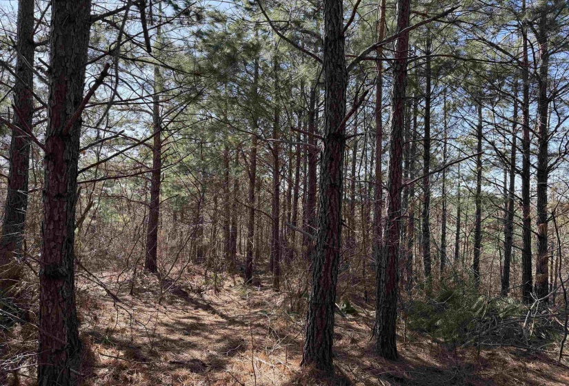 6 PYBURN DR, Savannah, Tennessee 38372, ,Land,For Sale,PYBURN,10220873