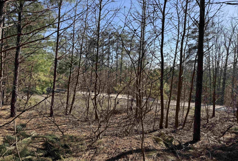 6 PYBURN DR, Savannah, Tennessee 38372, ,Land,For Sale,PYBURN,10220873