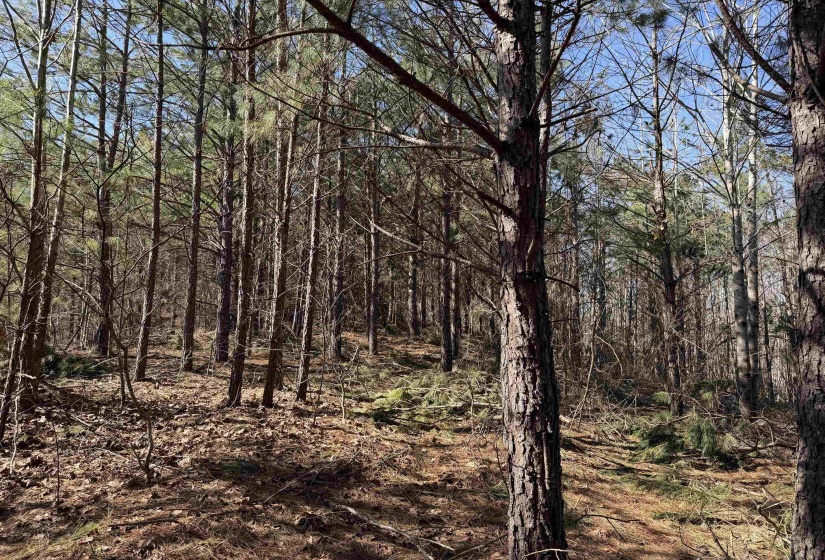 6 PYBURN DR, Savannah, Tennessee 38372, ,Land,For Sale,PYBURN,10220873