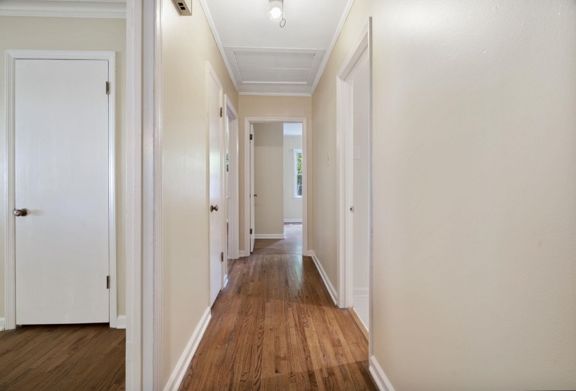 Hallway featuring wood-finish flooring, light-toned walls, white trim, and multiple doorways