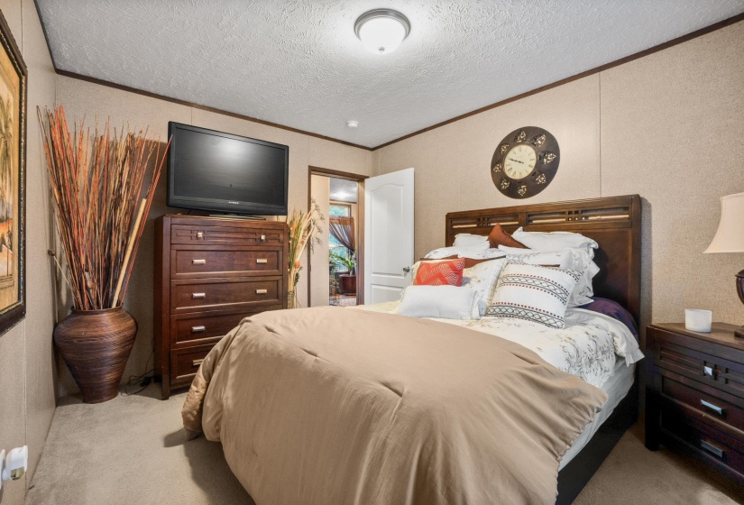 Carpeted room featuring paneled walls and wood-finish trim, with a built-in light fixture