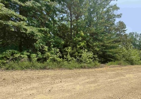 00 YOUNGER HOLLOW CEMETERY RD, Clifton, Tennessee 38425, ,Land,For Sale,YOUNGER HOLLOW CEMETERY,10220917 00 YOUNGER HOLLOW CEMETERY RD, Clifton, Tennessee 38425, ,Land,For Sale,YOUNGER HOLLOW CEMETERY,10220917