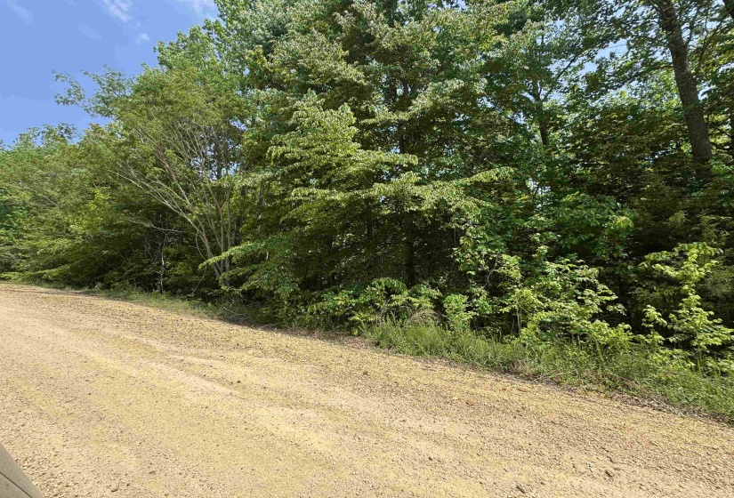 00 YOUNGER HOLLOW CEMETERY RD, Clifton, Tennessee 38425, ,Land,For Sale,YOUNGER HOLLOW CEMETERY,10220917