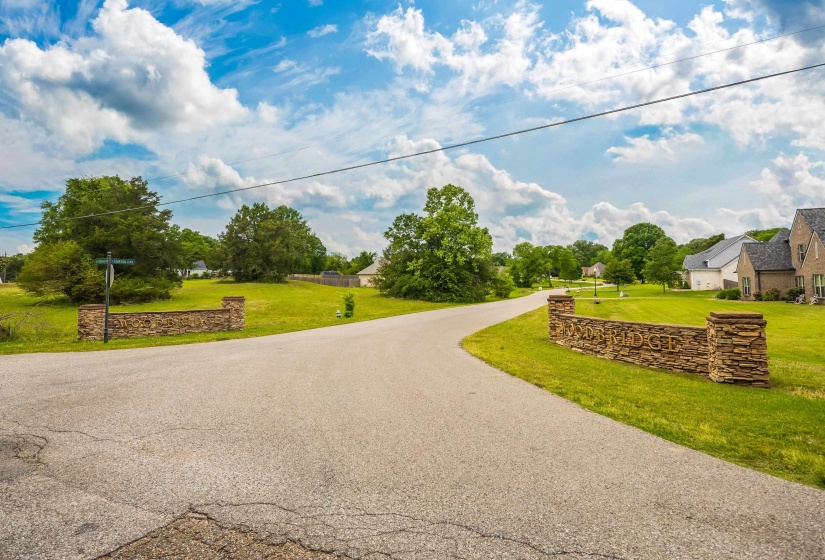 115 CEDAR HILL CV, Somerville, Tennessee 38068, ,Land,For Sale,CEDAR HILL,10220923