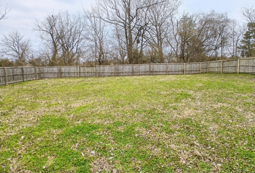 Expansive backyard space featuring a full perimeter wooden privacy fence