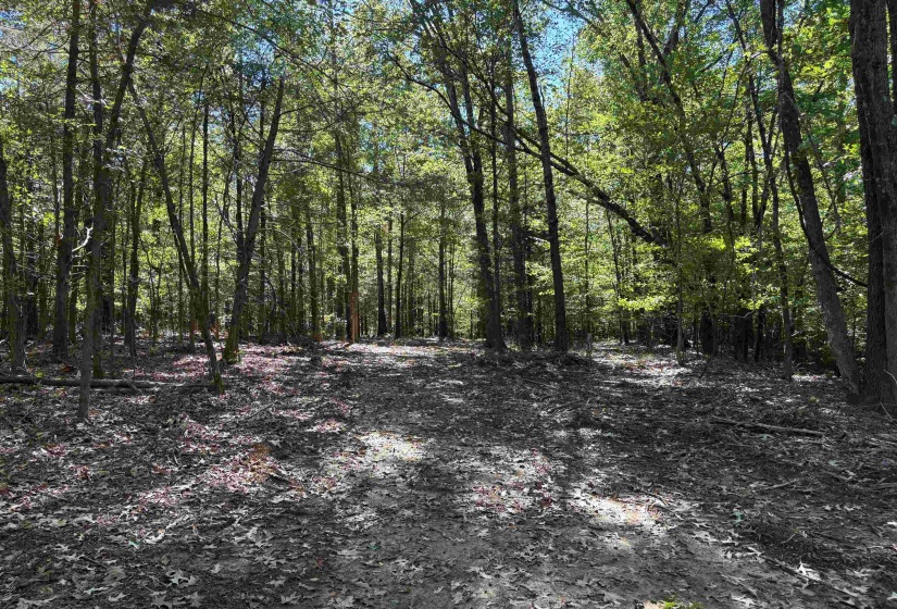 0 MUDVILLE RD, Millington, Tennessee 38053, 0 , 0 ,0,Land,For Sale,MUDVILLE,0,10220958