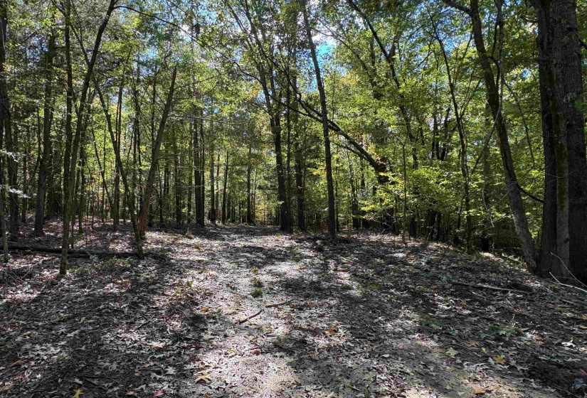 0 MUDVILLE RD, Millington, Tennessee 38053, 0 , 0 ,0,Land,For Sale,MUDVILLE,0,10220958