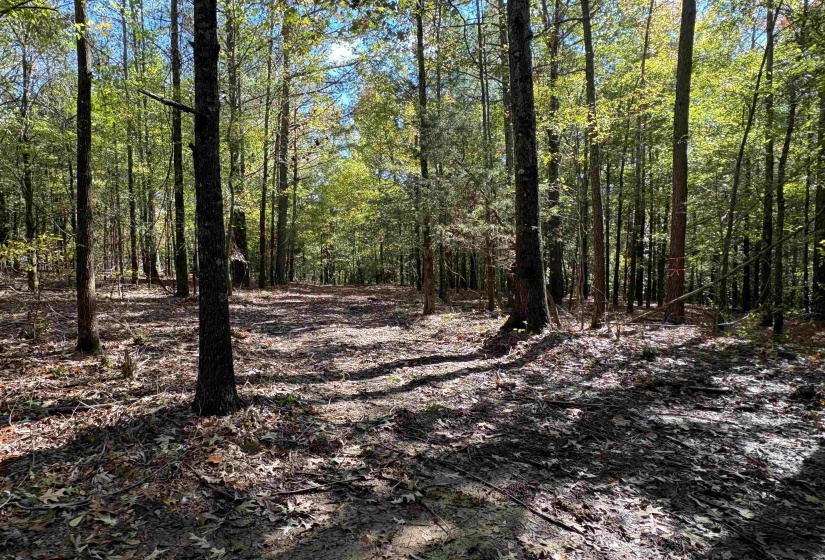 0 MUDVILLE RD, Millington, Tennessee 38053, 0 , 0 ,0,Land,For Sale,MUDVILLE,0,10220958