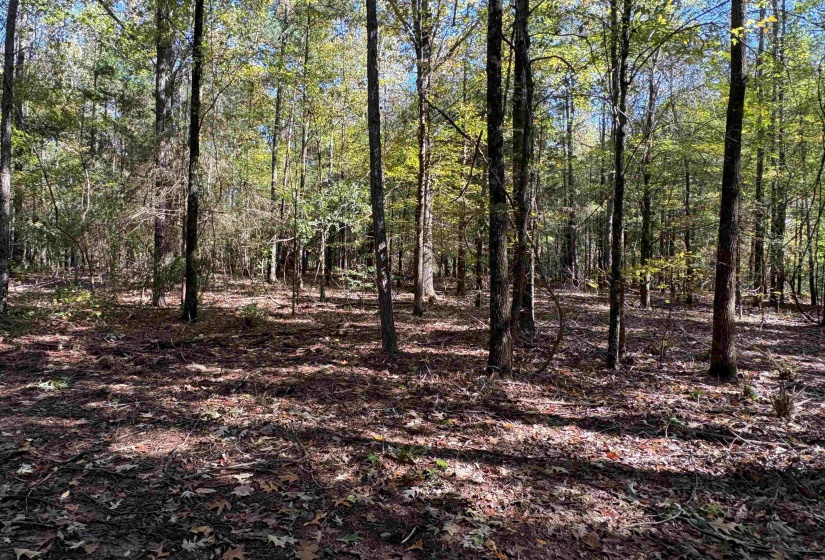 0 MUDVILLE RD, Millington, Tennessee 38053, 0 , 0 ,0,Land,For Sale,MUDVILLE,0,10220958