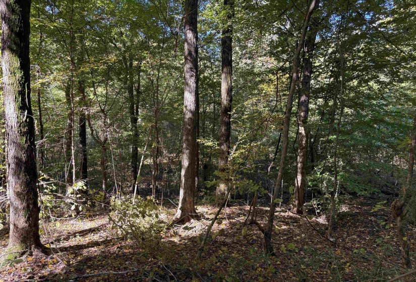 0 MUDVILLE RD, Millington, Tennessee 38053, 0 , 0 ,0,Land,For Sale,MUDVILLE,0,10220958