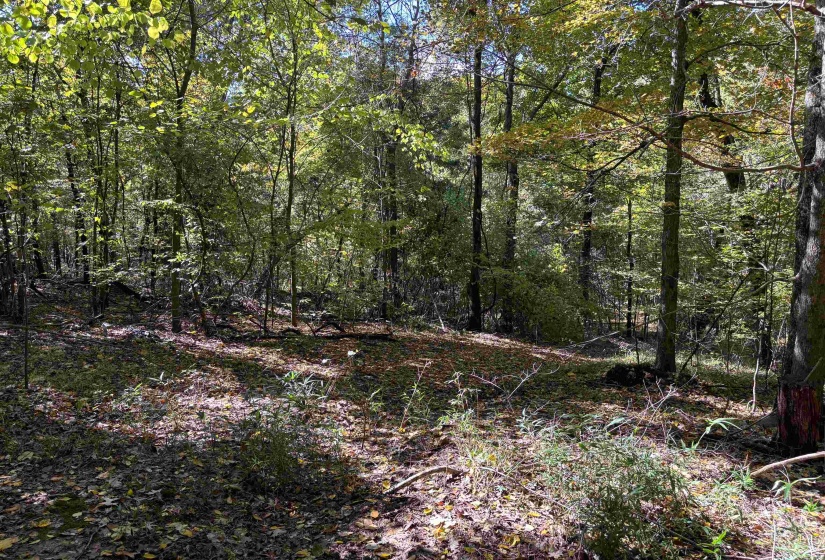 0 MUDVILLE RD, Millington, Tennessee 38053, 0 , 0 ,0,Land,For Sale,MUDVILLE,0,10220958