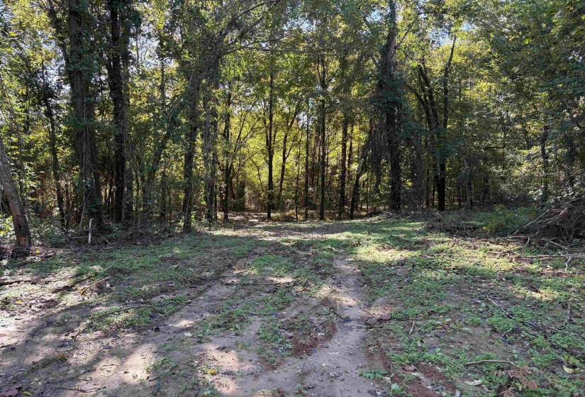 0 MUDVILLE RD, Millington, Tennessee 38053, ,Land,For Sale,MUDVILLE,10220962